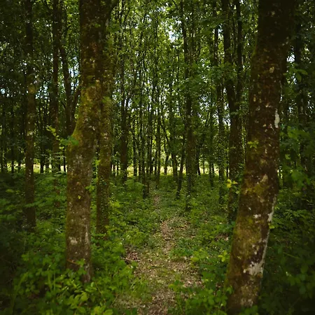 בית נופש Longford Yellow Star Self-catering Esker South