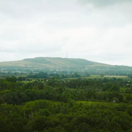 Vakantiehuis Longford Yellow Star Self-catering *