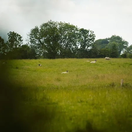 Longford Yellow Star Self-catering *