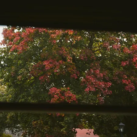 Longford Yellow Star Self-catering