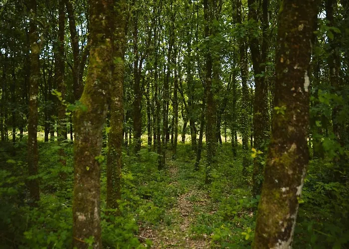 Сasa de vacaciones Longford Yellow Star Self-catering Esker South