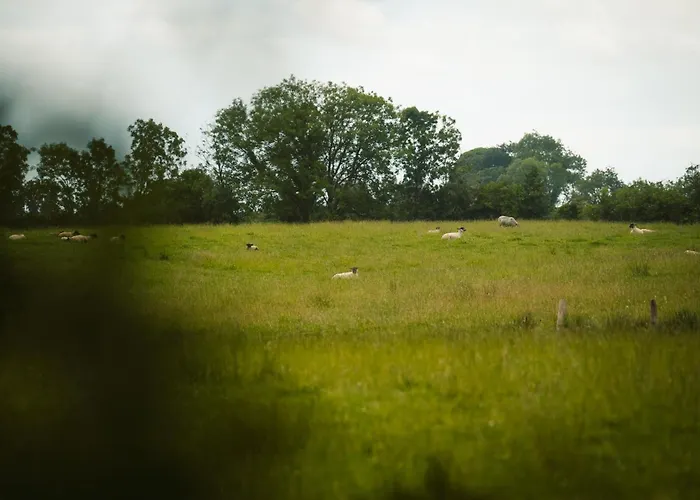 Longford Yellow Star Self-catering *