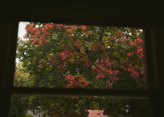 Longford Yellow Star Self-catering